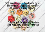 Wildflower seed bomb - If Flower Girls were flowers I'd pick you